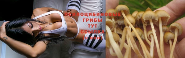 мескалин Абаза