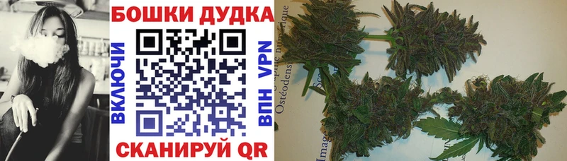 МАРИХУАНА сатива  hydra   Новая Усмань 